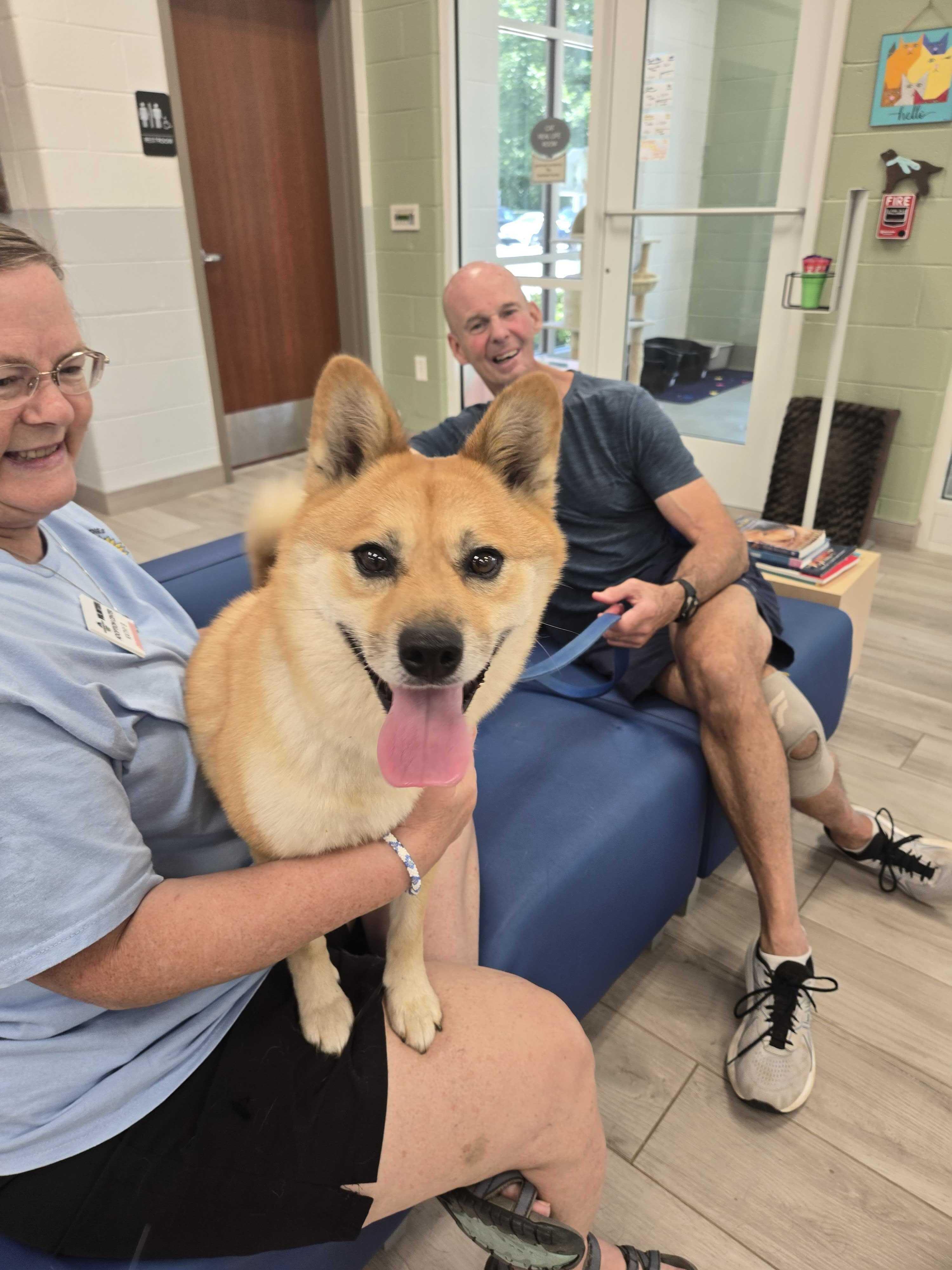 Jasper, an adopted mixed breed in Maidens, VA image 6/6