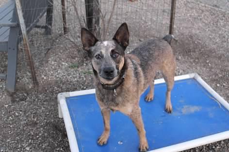 Boy George thumbnail 3