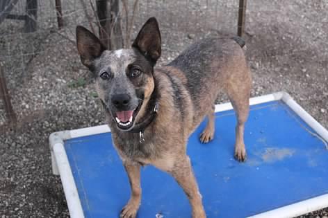 Boy George thumbnail 2