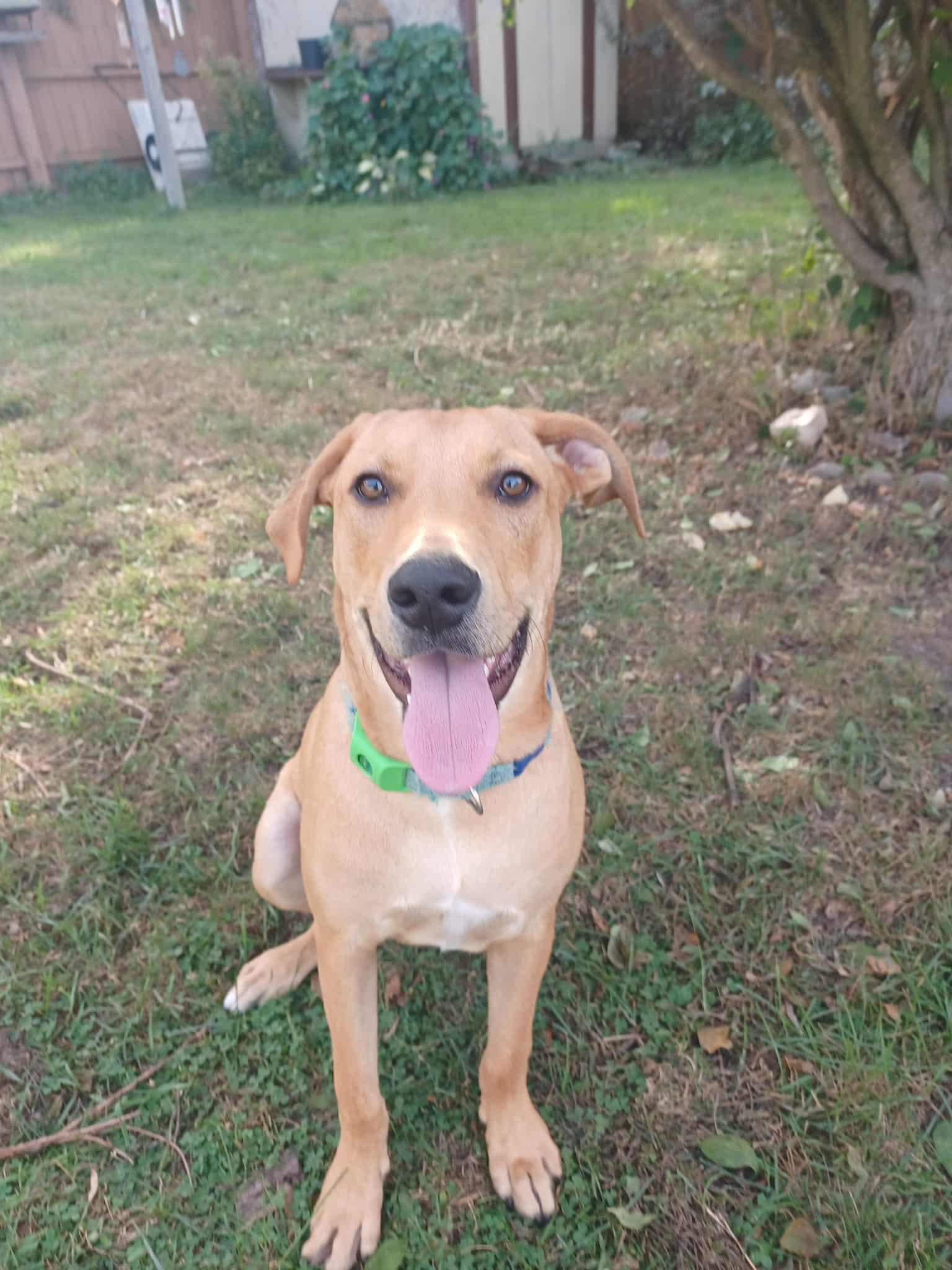 Sam