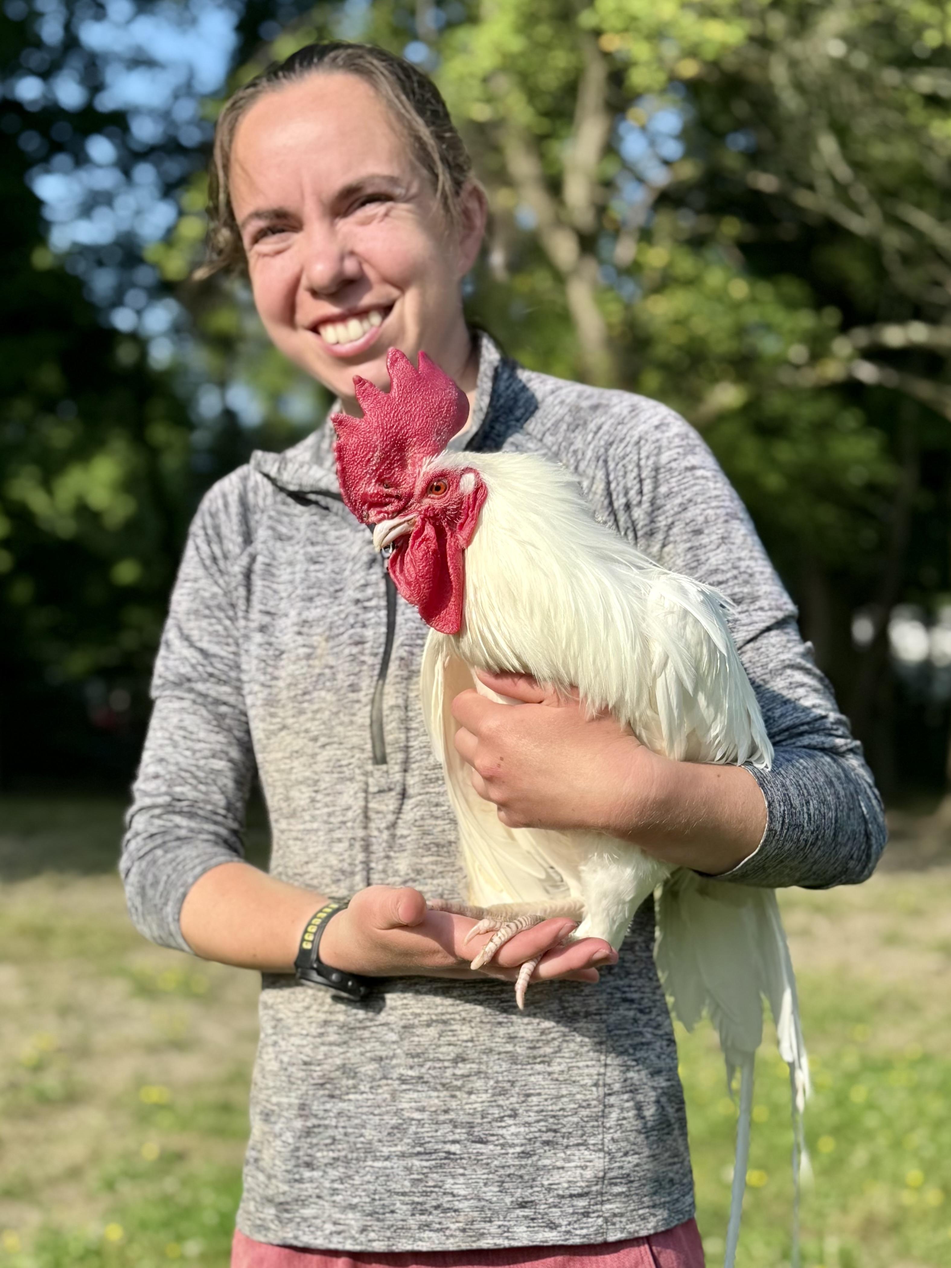 Presley, a Adoptable Chicken in Ravenna, OH image 2/3