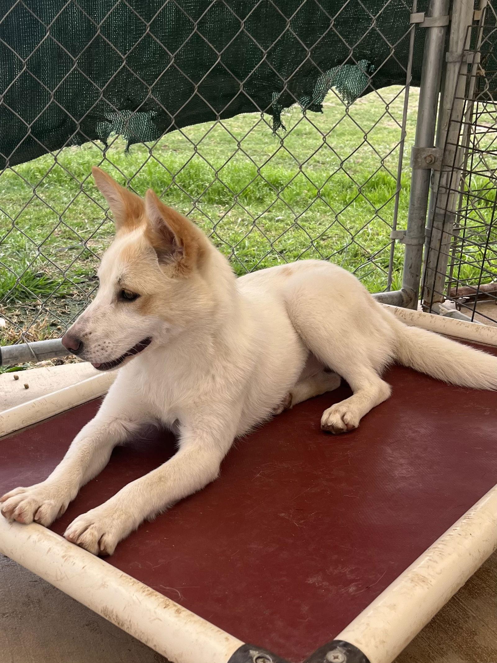 Tippy — thumbnail 2