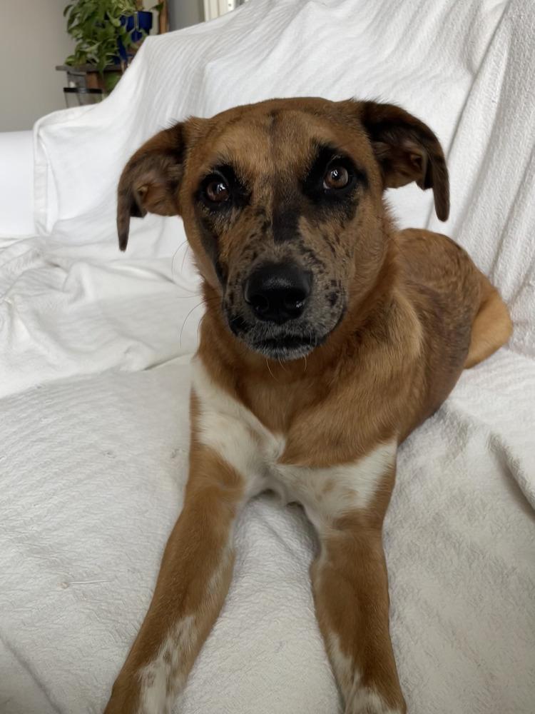 Champagne thumbnail 2