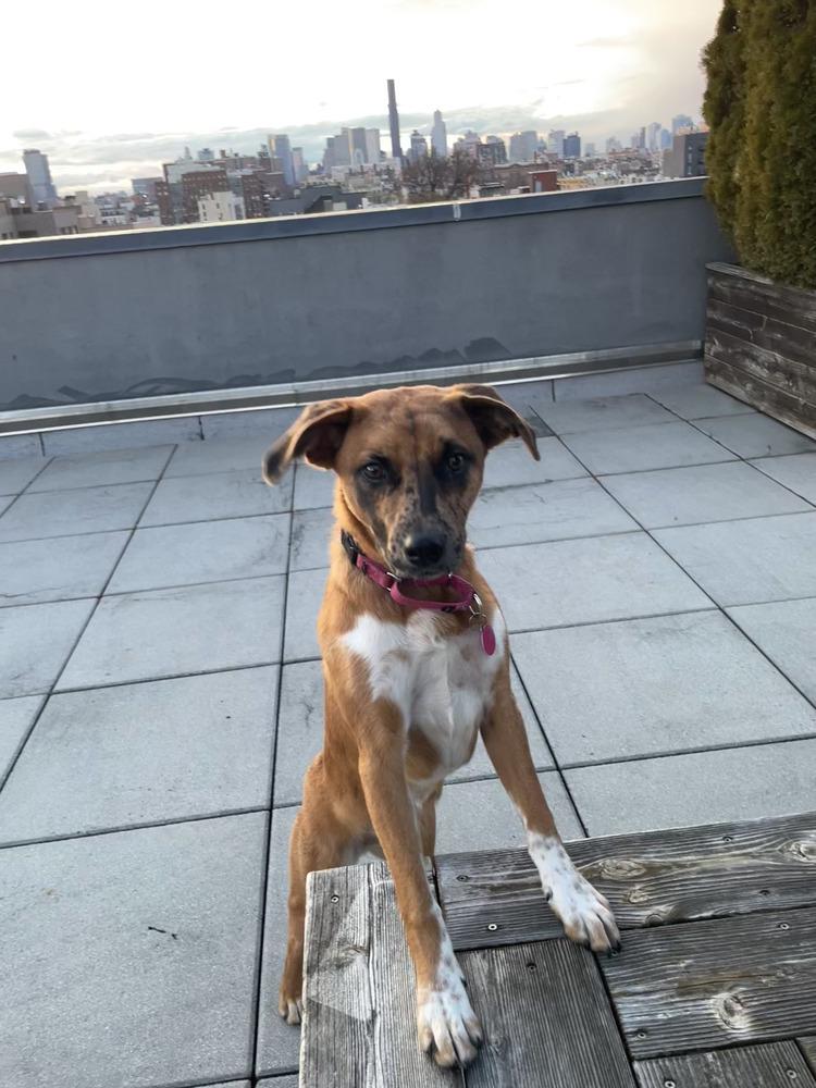 Champagne thumbnail 4