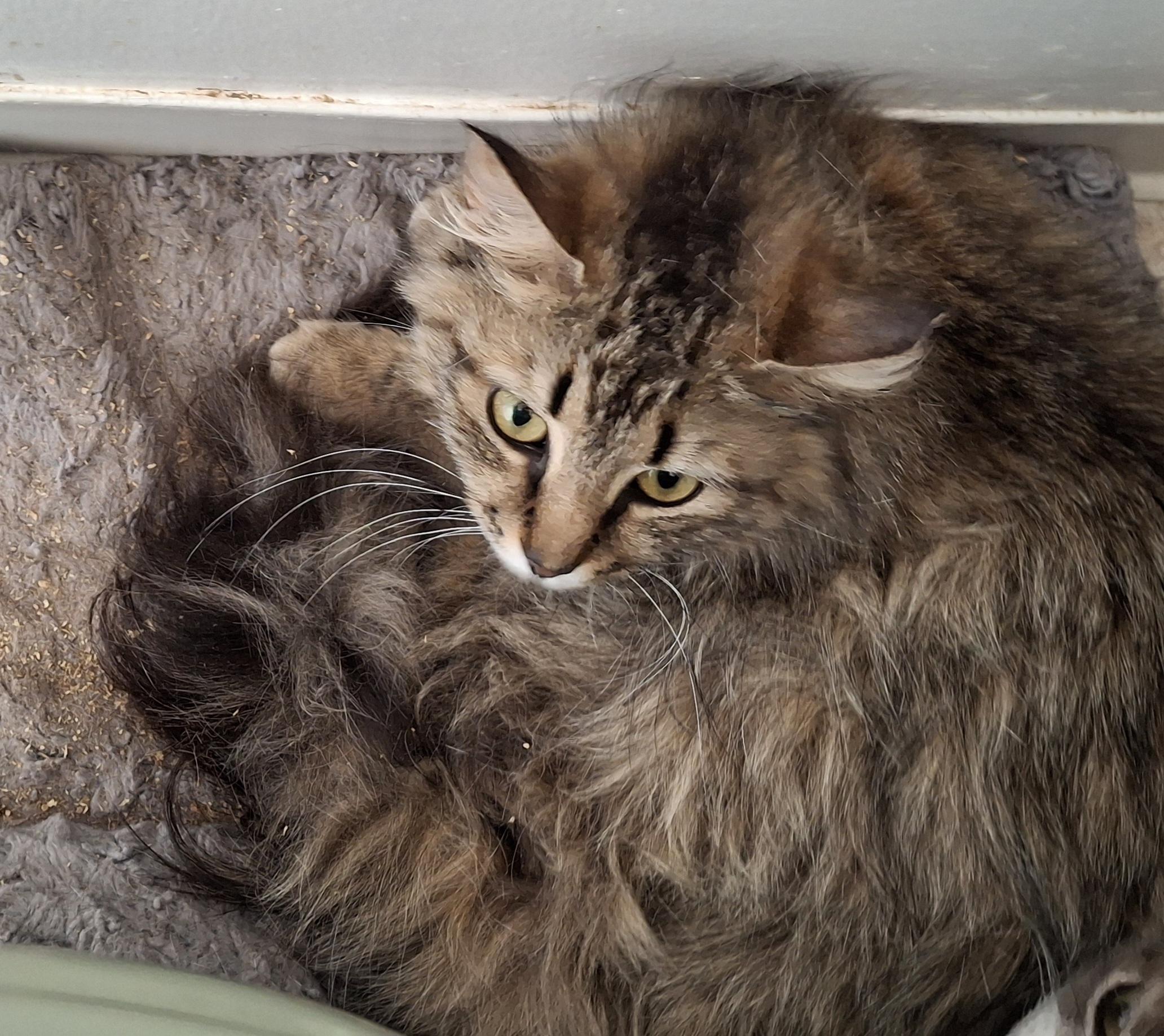 Palace And India thumbnail 4