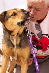 Enlarge Benson, a Adoptable mixed breed in Cottonwood, AZ image 3/3