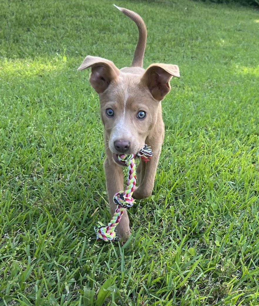 STARR photo 2