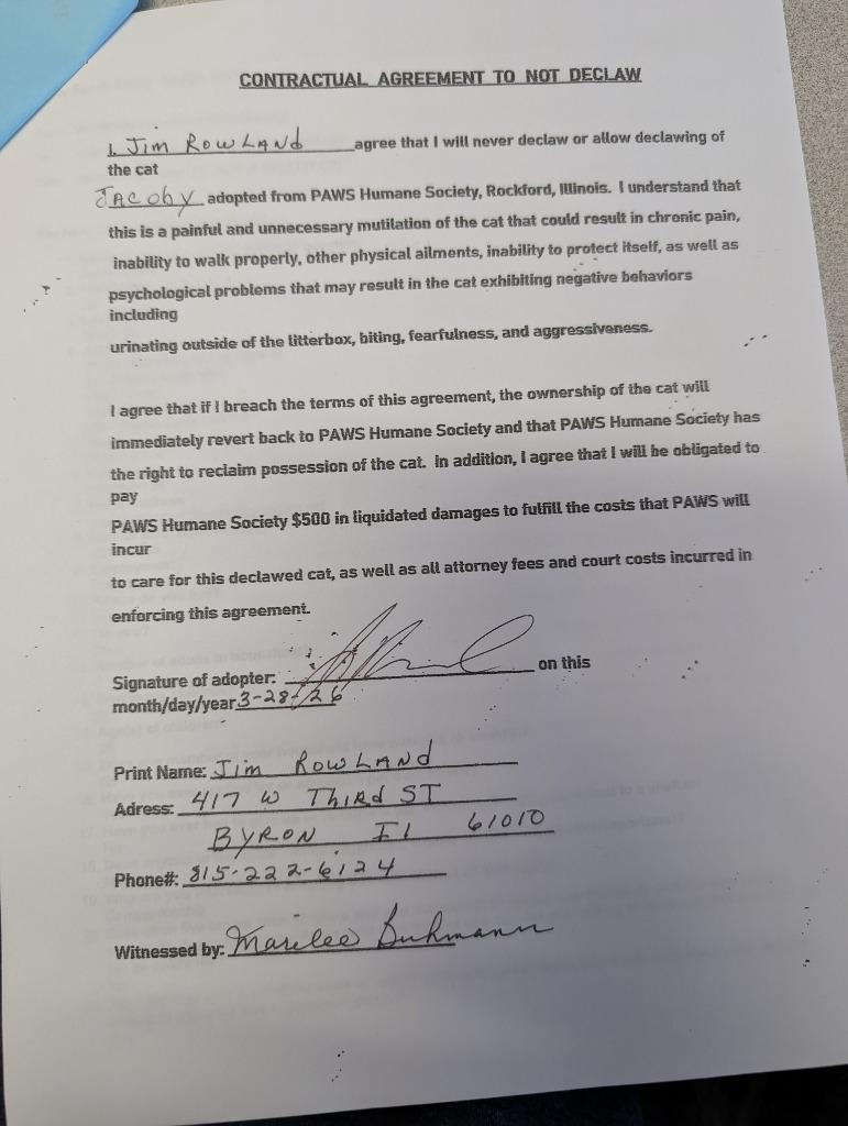 Enlarge Jacoby, a Adopted mixed breed in Rockford, IL image 1/5