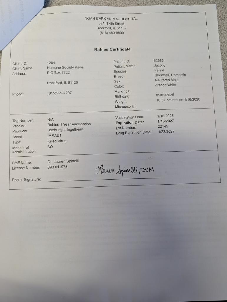 Enlarge Jacoby, a Adopted mixed breed in Rockford, IL image 2/5