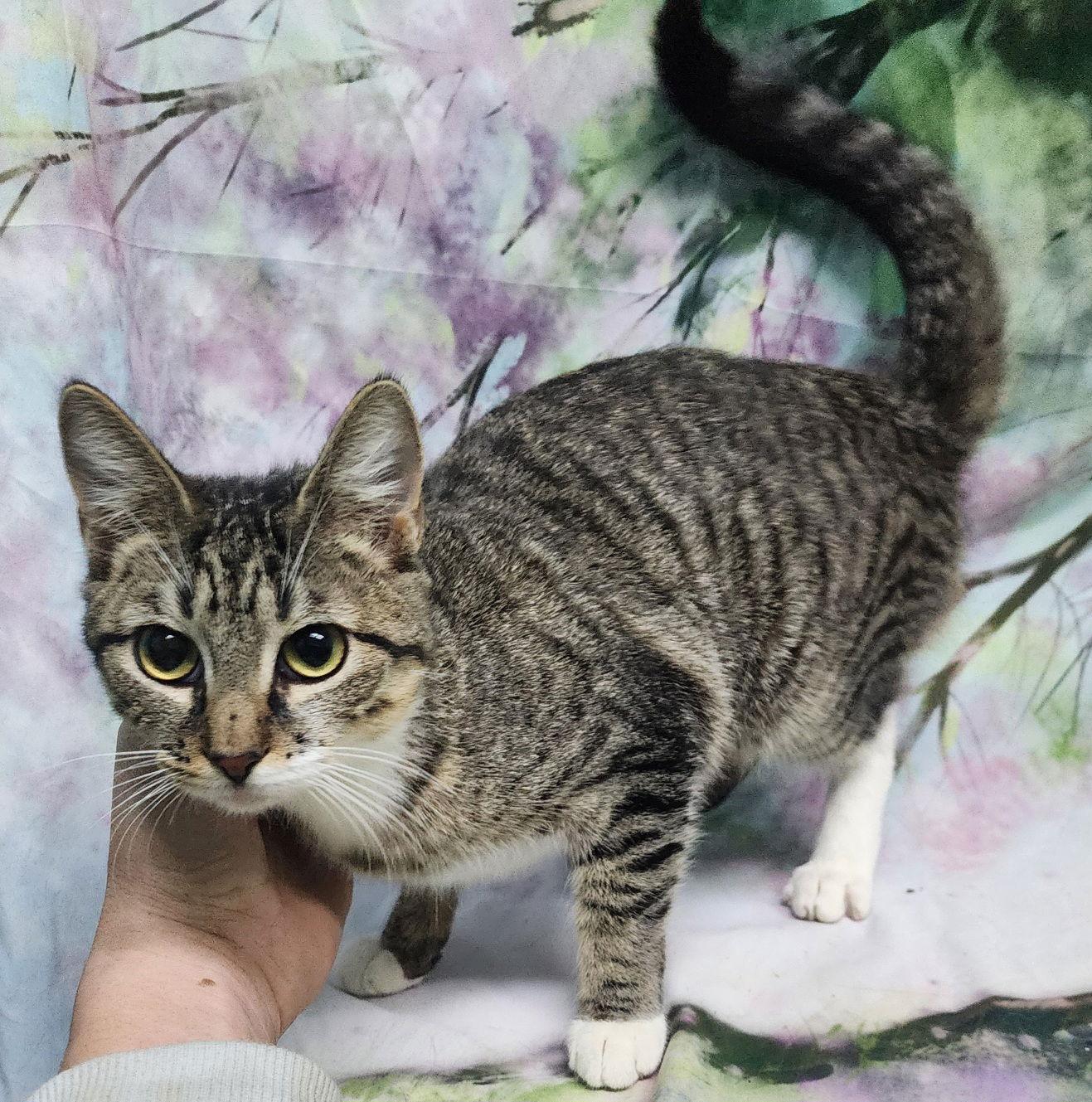 251214 Katie — thumbnail 2