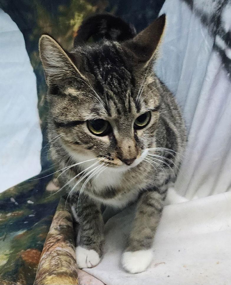 251214 Katie — thumbnail 3