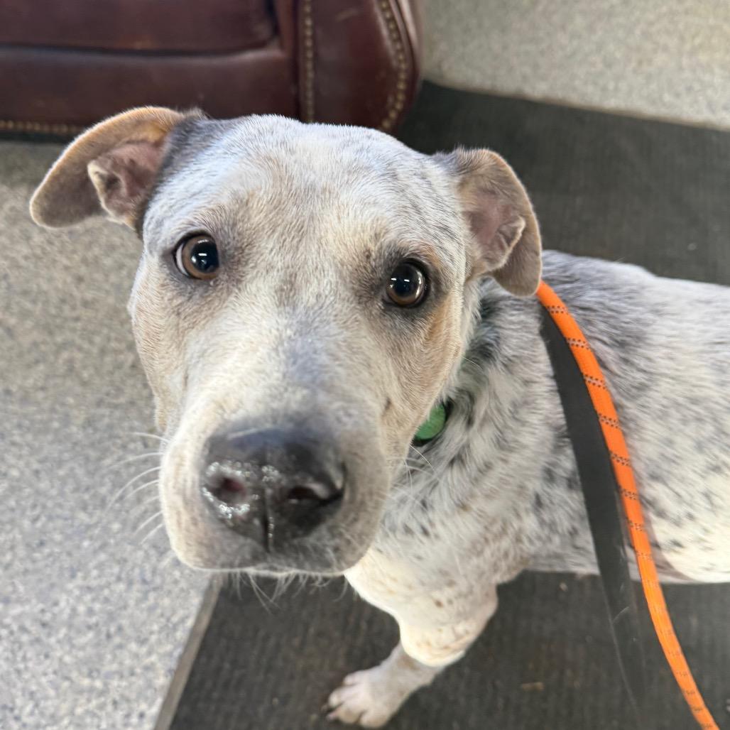 Girl — thumbnail 2