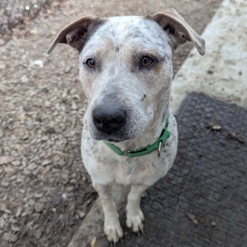 Girl — thumbnail 3