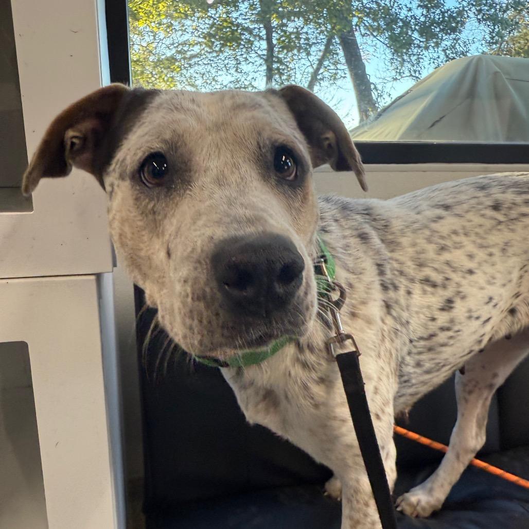 Girl — thumbnail 4