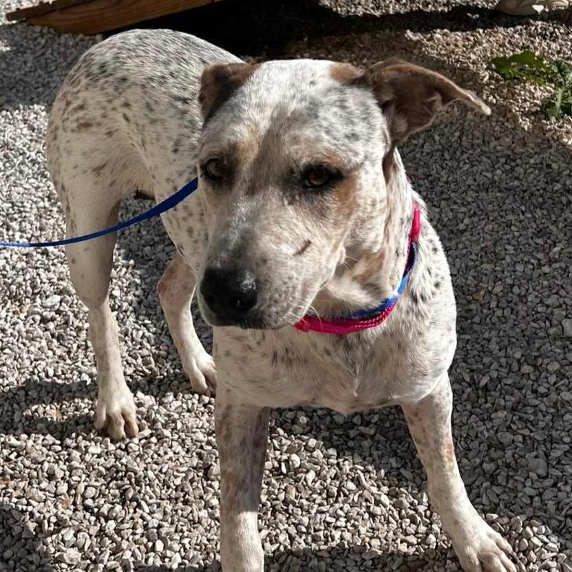 Girl — thumbnail 5