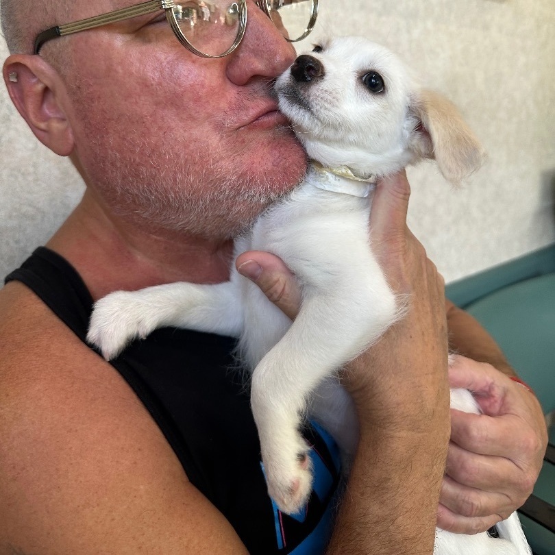 Enlarge Winifred “Winnie”, a Adopted mixed breed in Pembroke Pines, FL image 1/2