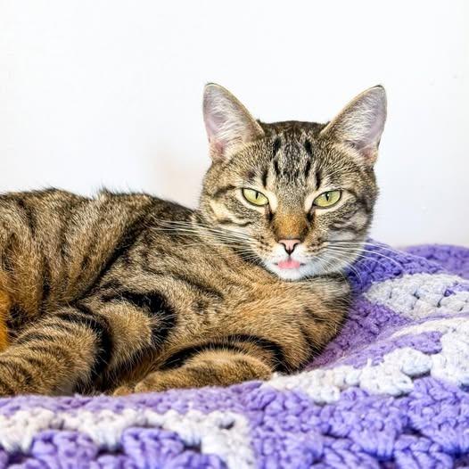 Frieda photo
