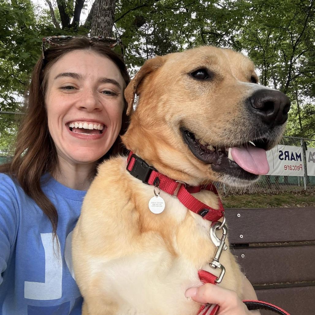 Enlarge Blooper, a Adoptable mixed breed in Nashville, TN image 4/6