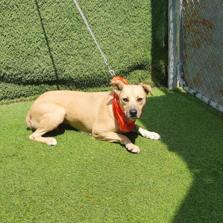 Wilma — thumbnail 5