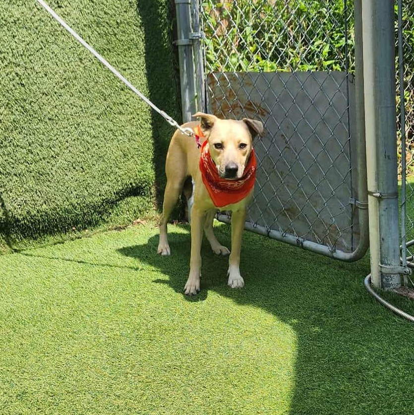 Wilma — thumbnail 6