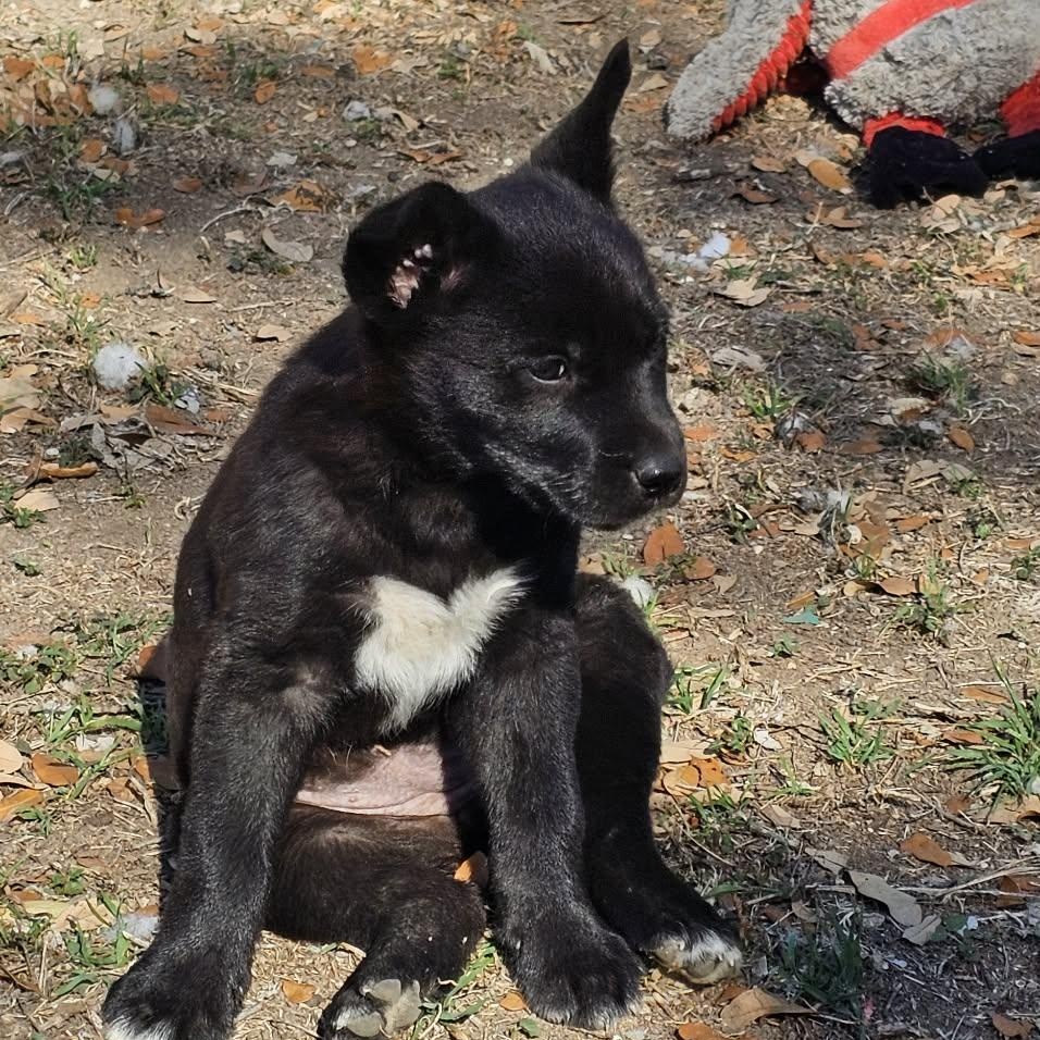 Judy — thumbnail 6