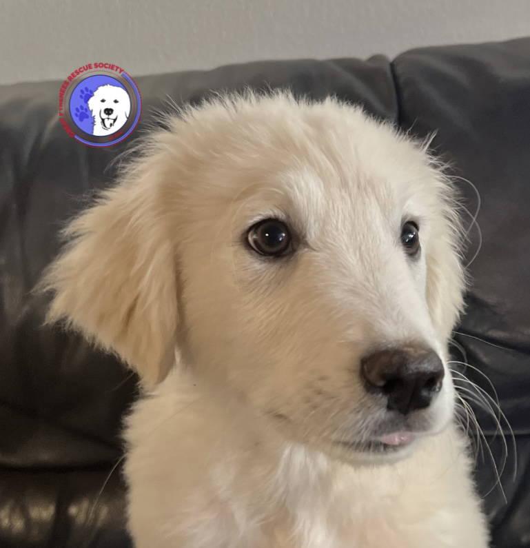 Mitch — thumbnail 3