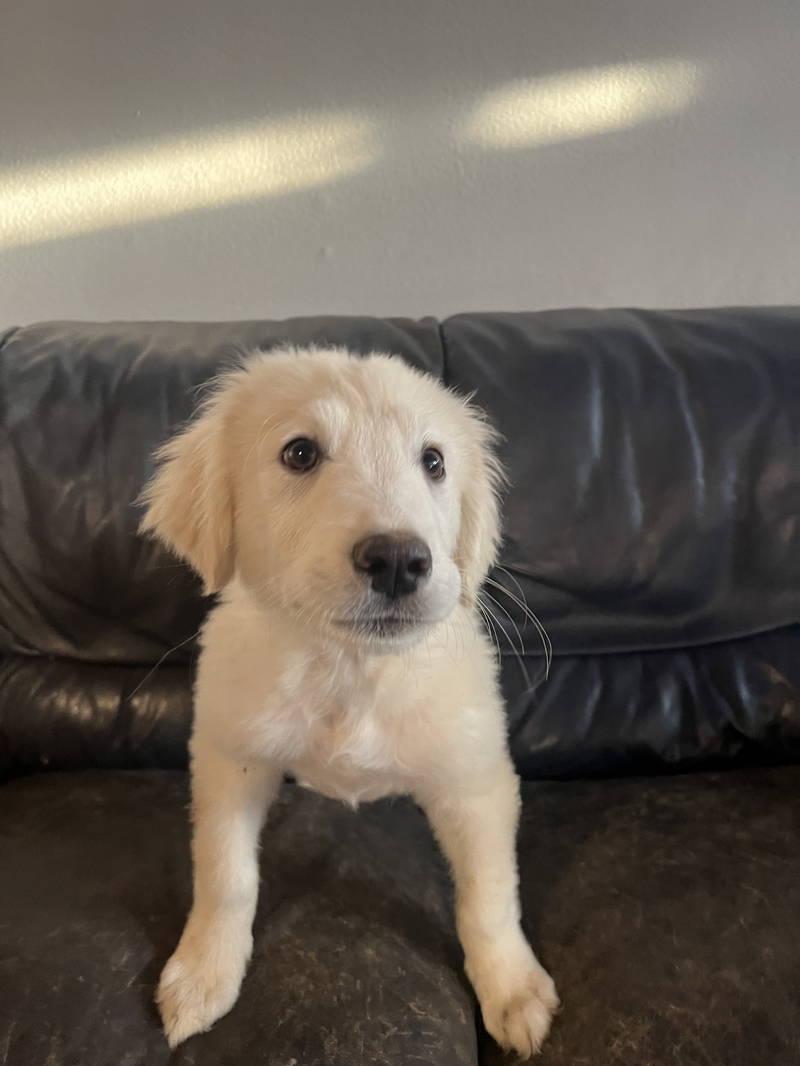 Mitch — thumbnail 6