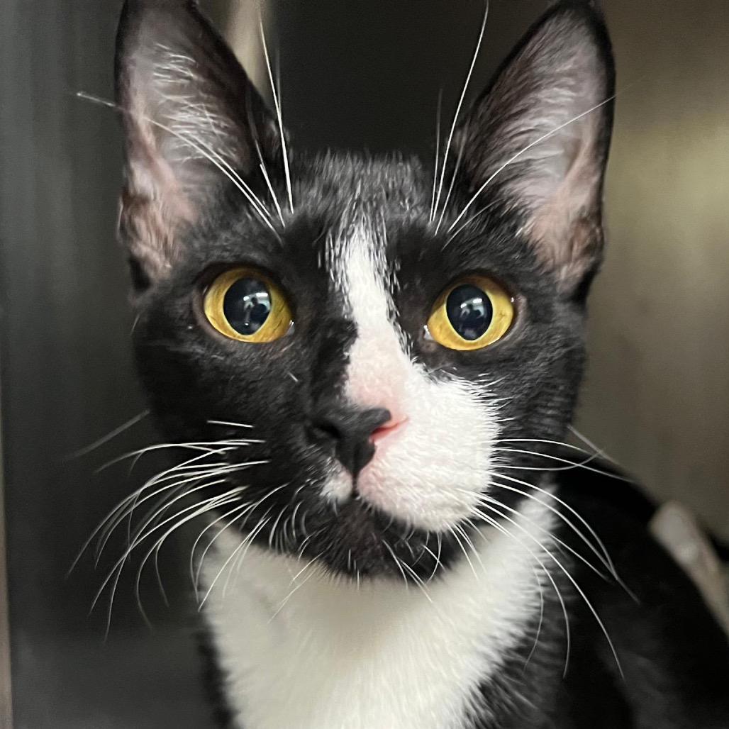 Florence thumbnail 2