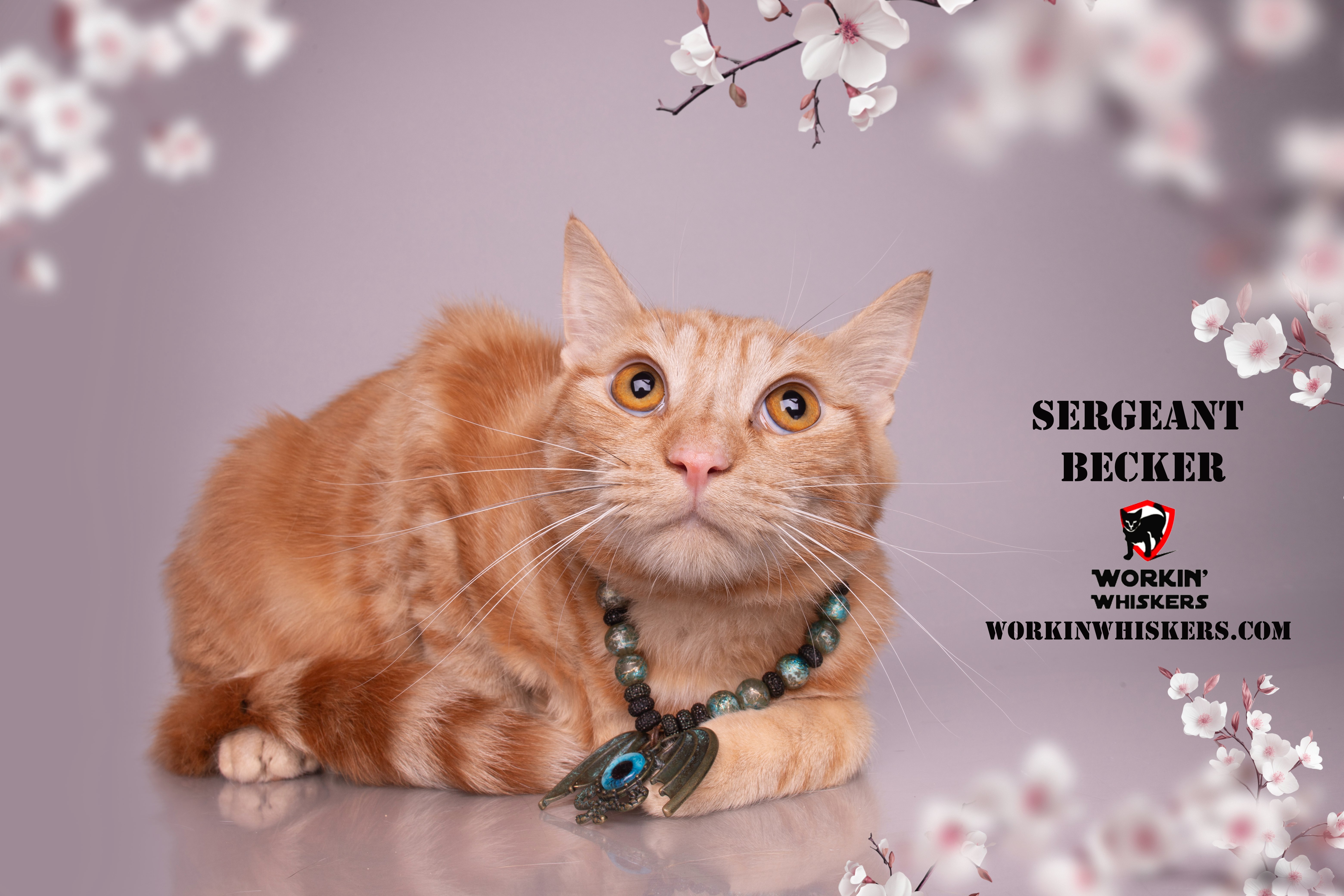 SERGEANT BECKER
