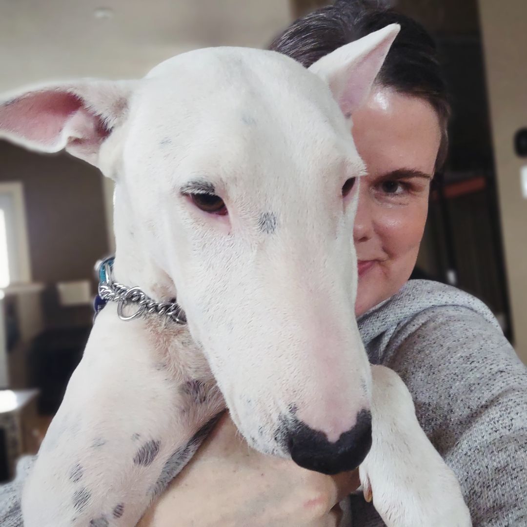 Enlarge Eva, a Adopted mixed breed in Concord, ON image 6/6