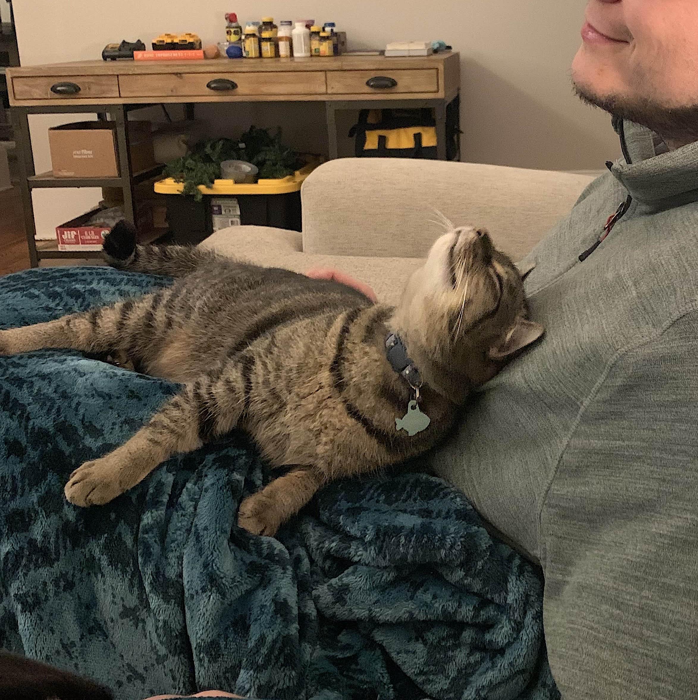 Hammie — thumbnail 3