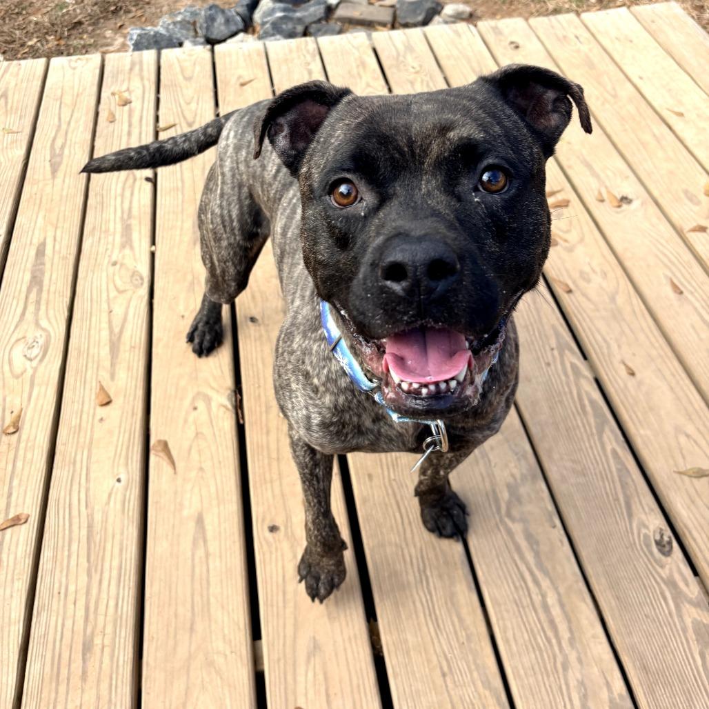 Papa 21782 — thumbnail 2