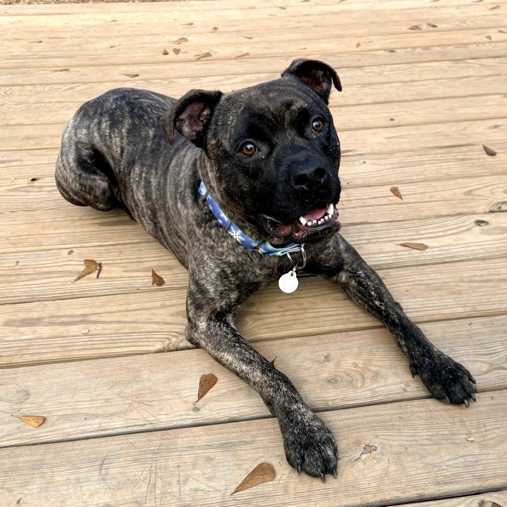 Papa 21782 — thumbnail 3