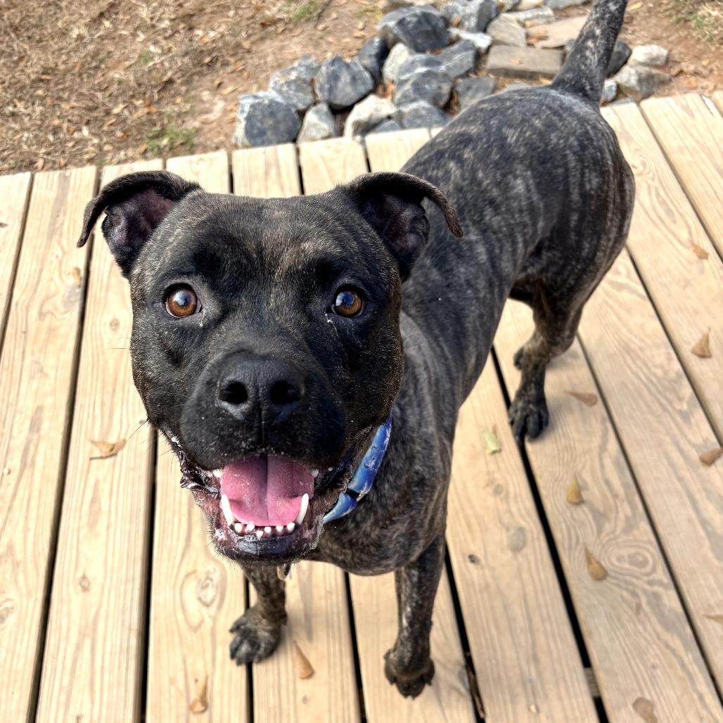 Papa 21782 — thumbnail 5