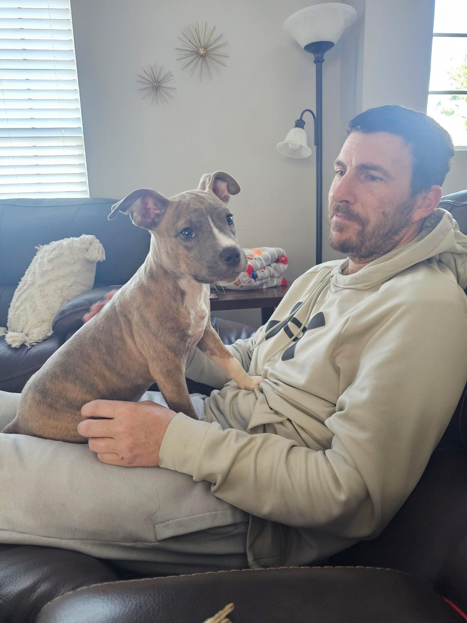 Enlarge Xander , a ADOPTABLE mixed breed in Gainesville, GA image 2/6