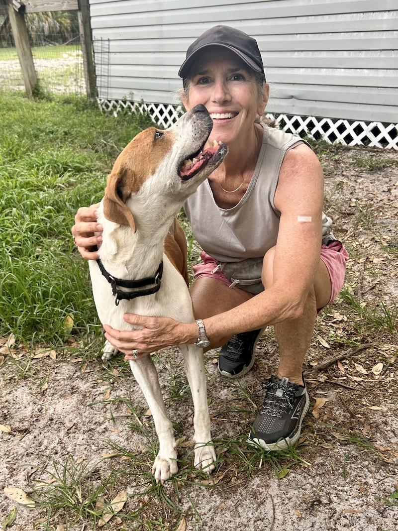 Enlarge DIXIE, a Adoptable mixed breed in Palm City, FL image 3/3