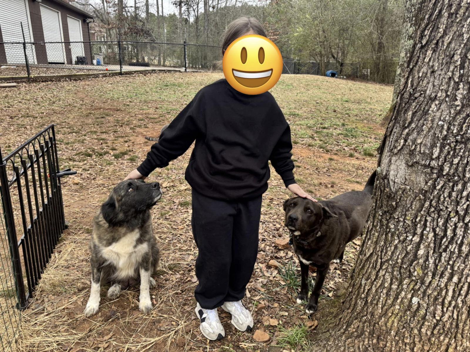 Missy * — thumbnail 2