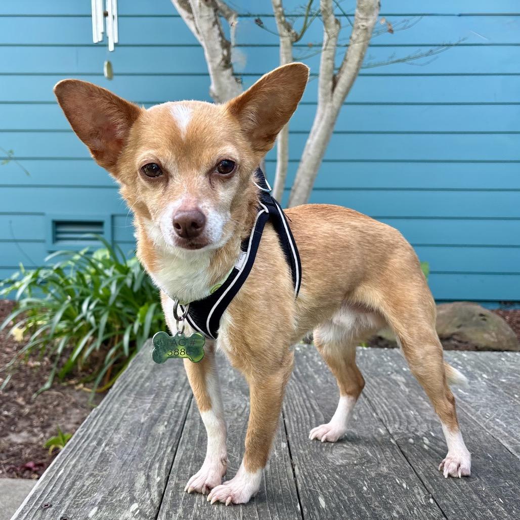 Frisco — thumbnail 5