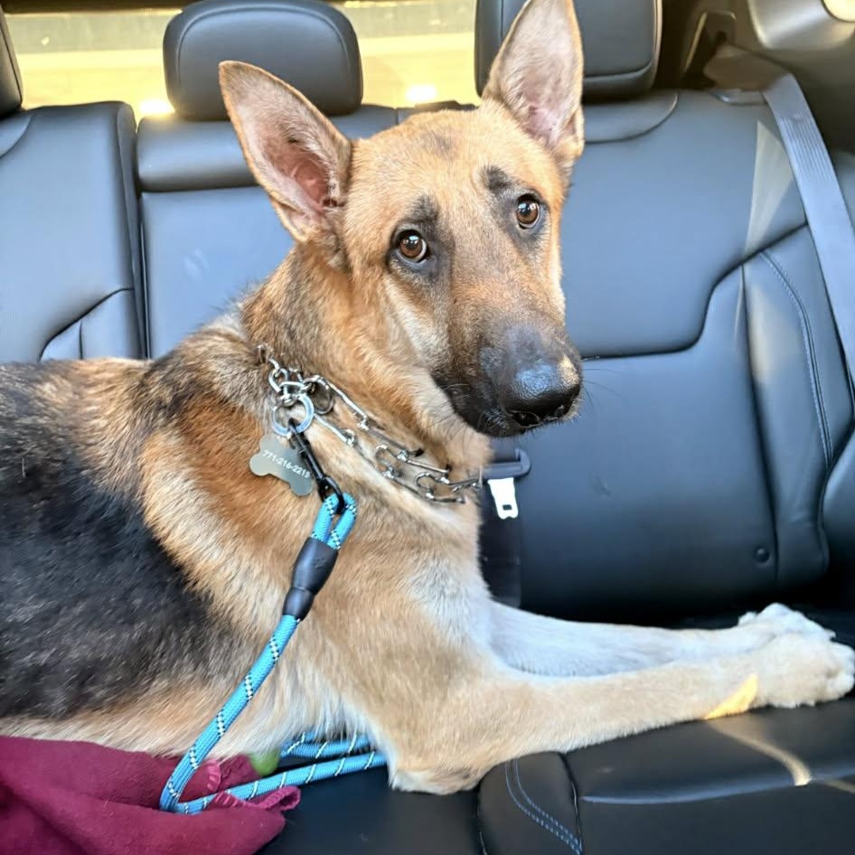 MAX GS — thumbnail 3