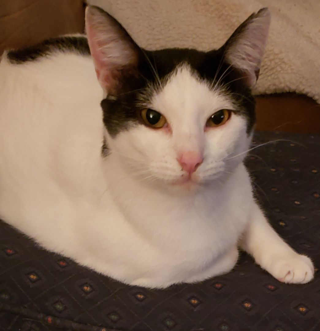 Albert photo 3