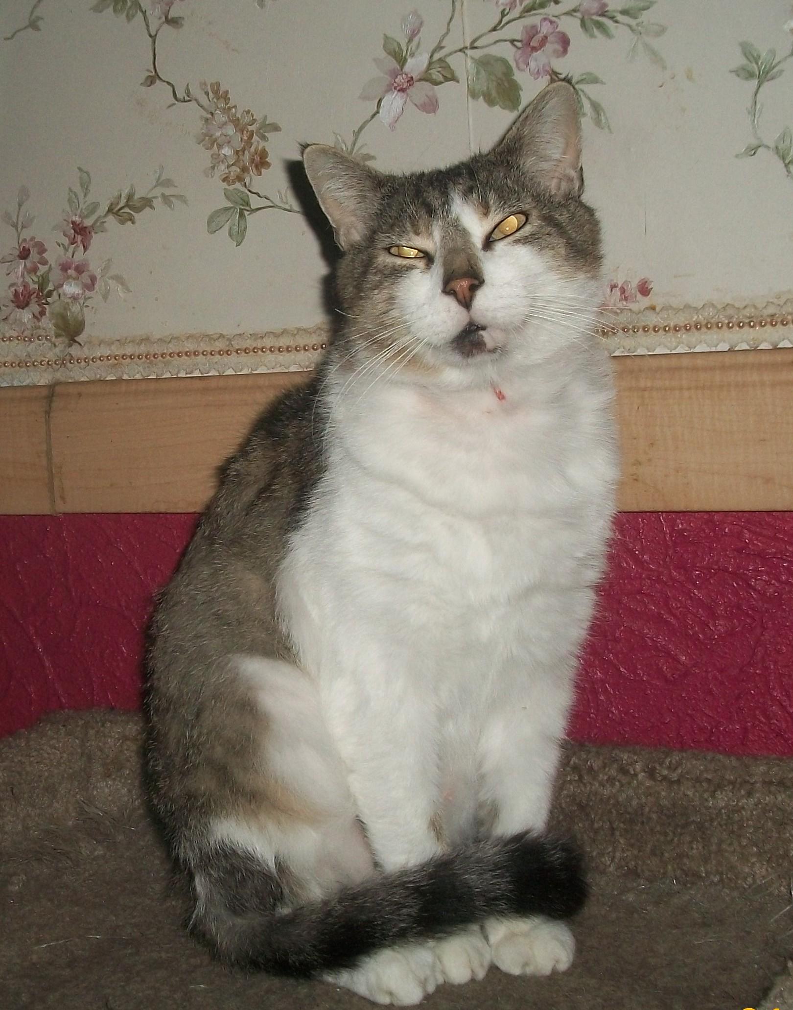 Quincy Whit (handsome, loving guy!)