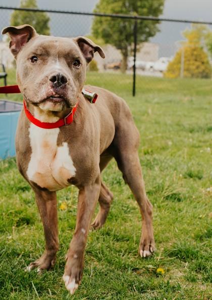 Persey — thumbnail 4