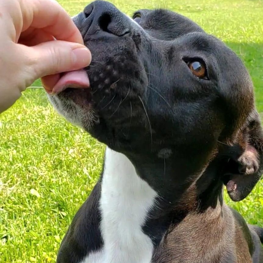 Morena "polly Pocket" thumbnail 2