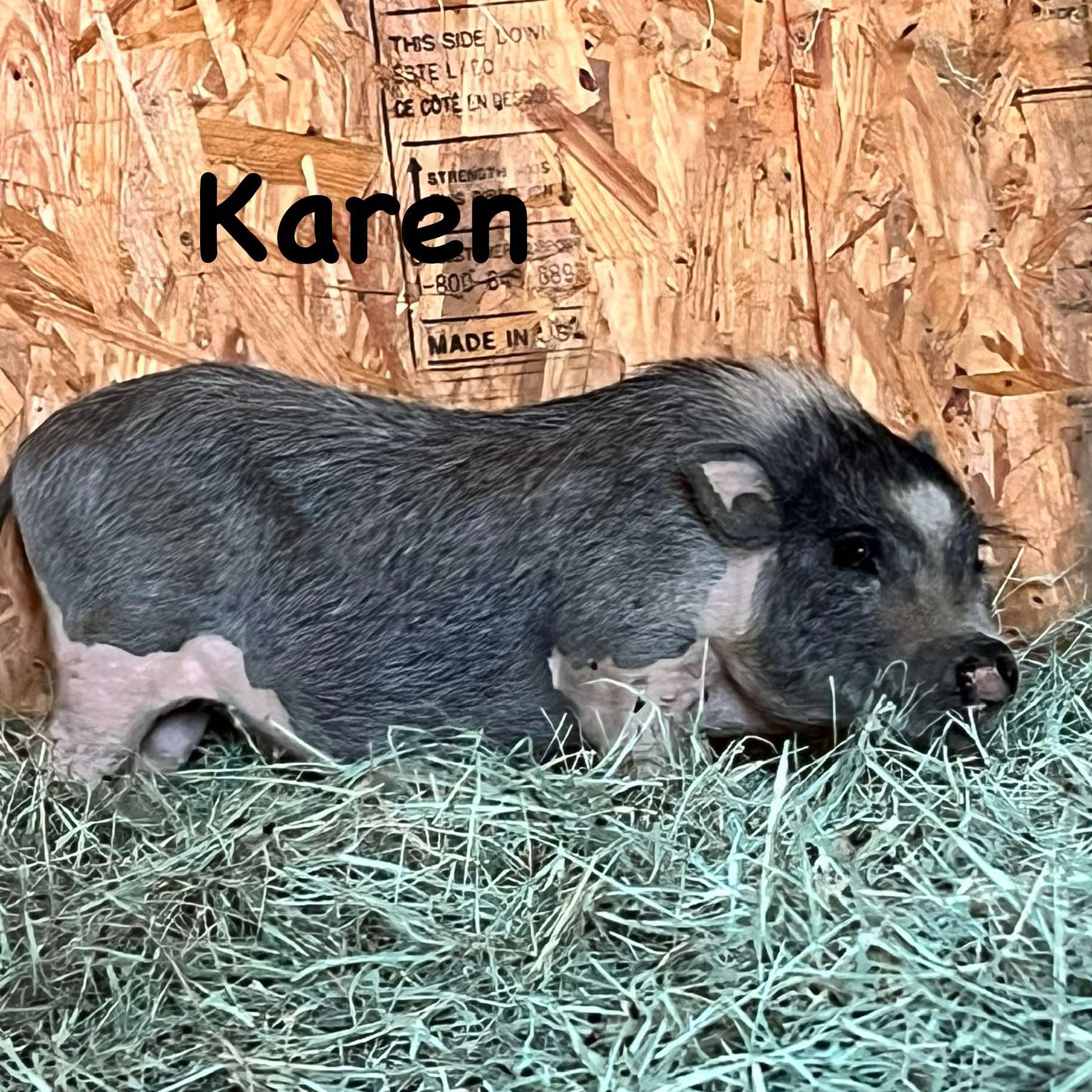 Karen photo 2