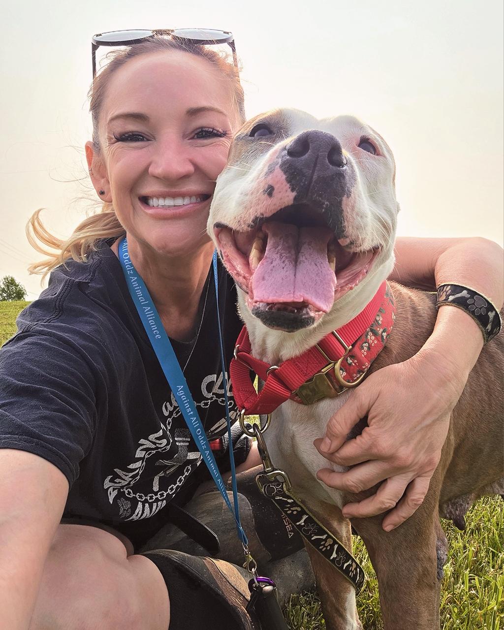 Enlarge Genesee, a Adopted mixed breed in Darien Center, NY image 6/6