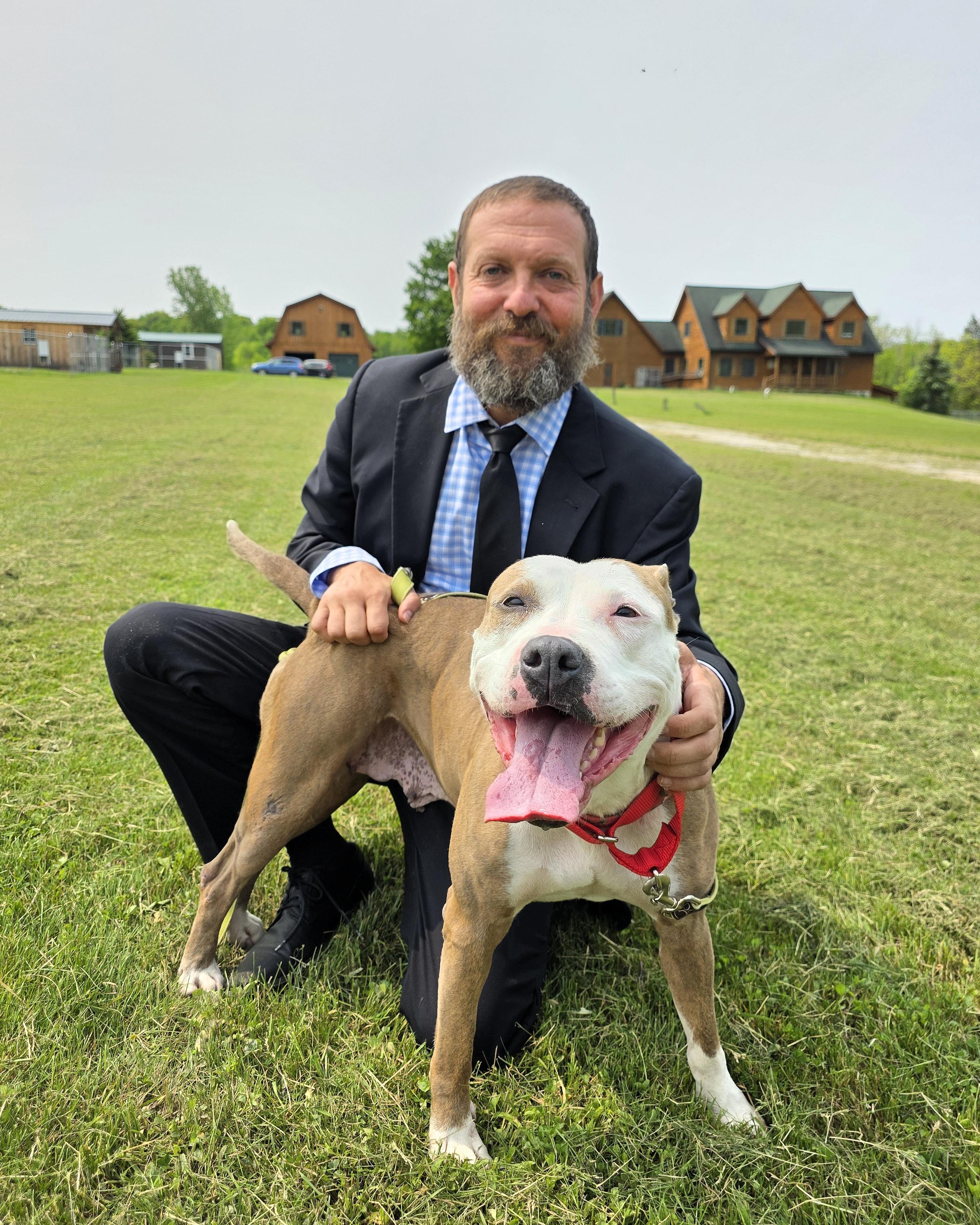 Enlarge Genesee, a Adopted mixed breed in Darien Center, NY image 5/6