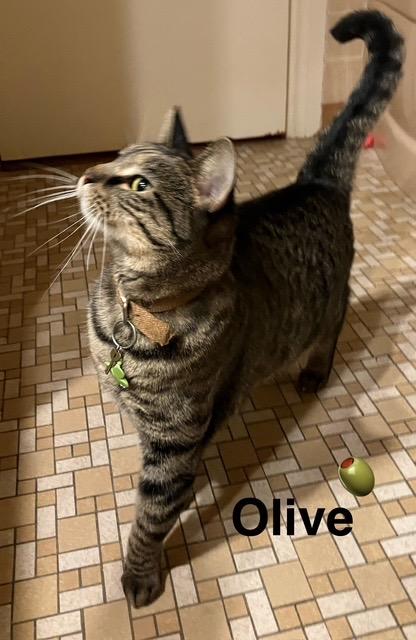 Olive