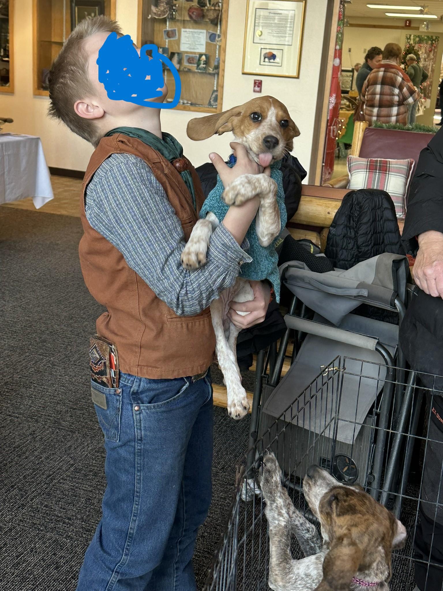 Enlarge Pumpkin, a Adoptable mixed breed in Dubois, WY image 4/5