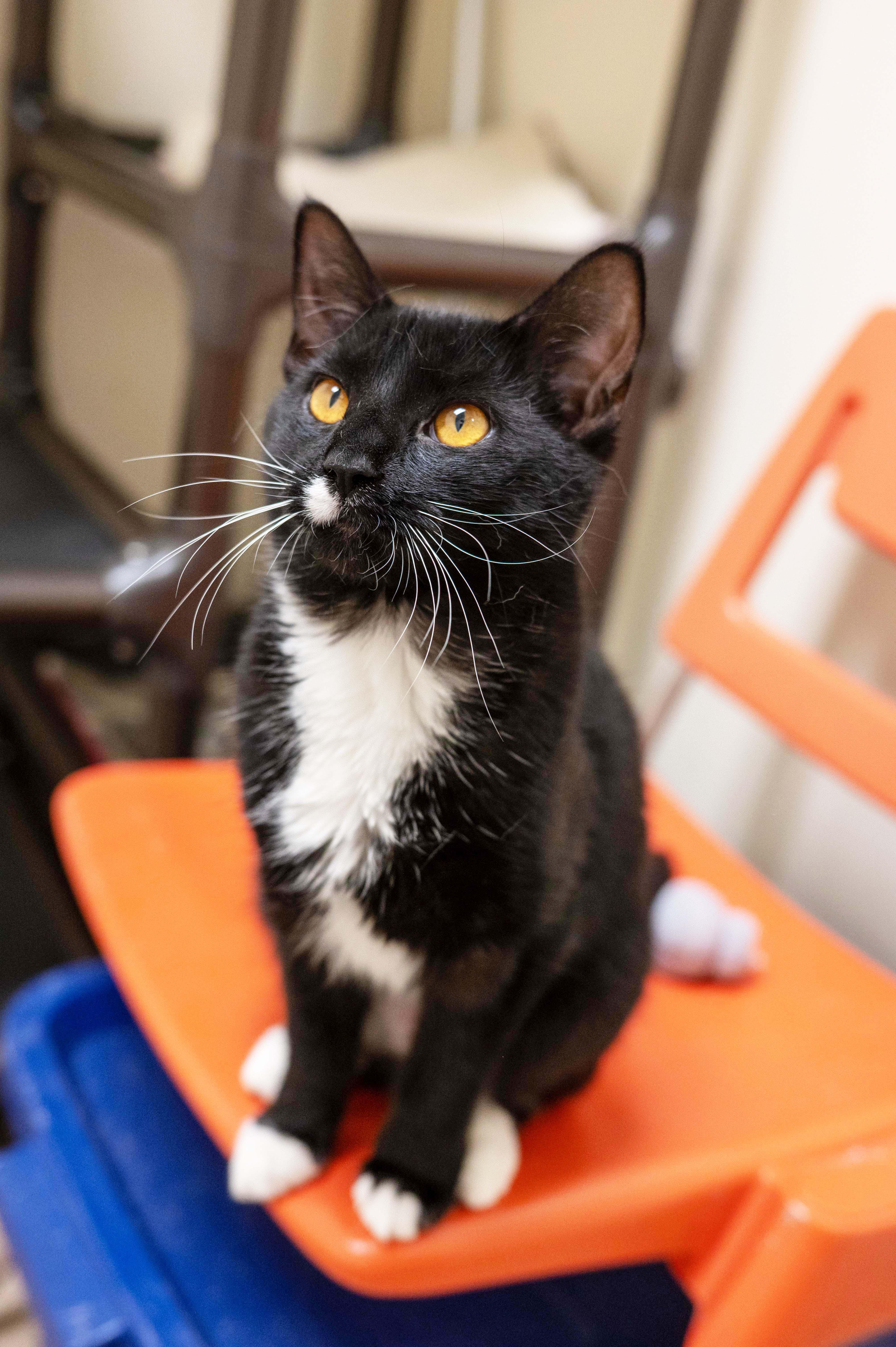 Celeste - SOOOOOO LOVING! 2