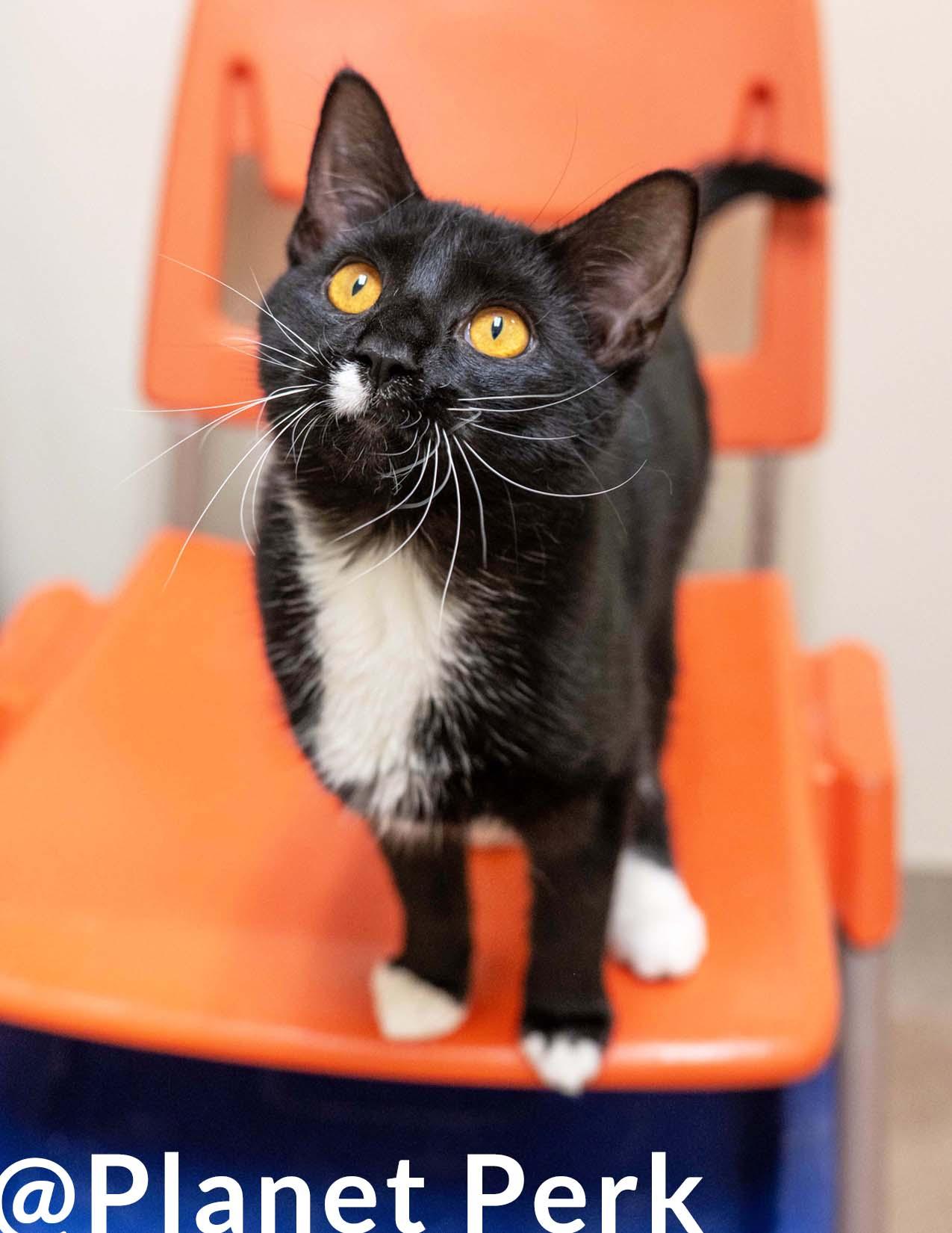 Celeste - SOOOOOO LOVING!